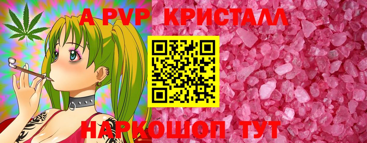 A-PVP СК КРИС Ливны
