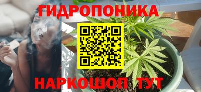 спайс Будённовск
