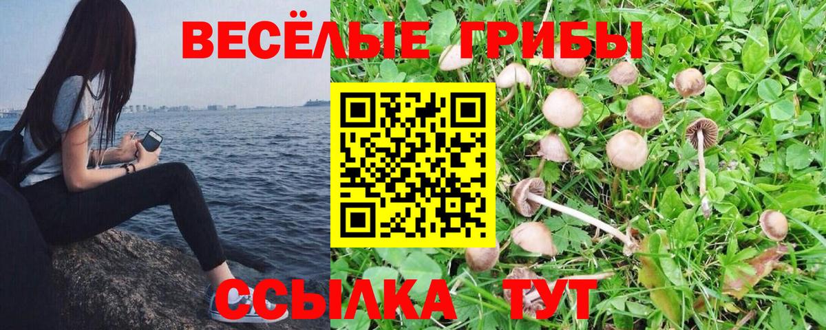 Галлюциногенные грибы мицелий Ливны